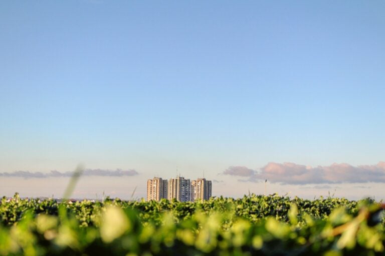 The Crucial Role of Labor Unions in Sustainable Development